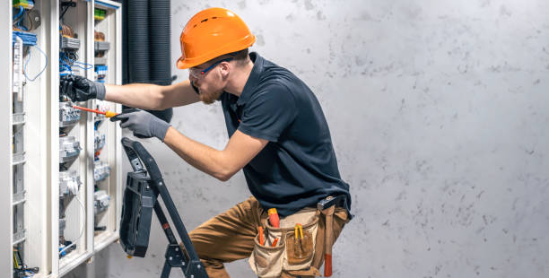 Best Electric Panel Repair  in Blackville, SC